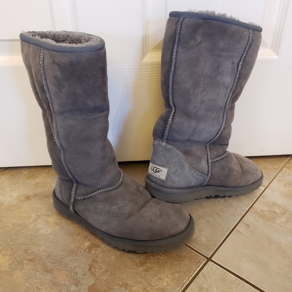 UGG Shoes - Ugg clasic tall boots